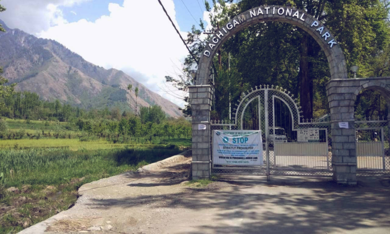Dachigam National Park: Kashmir’s Wild Jewel